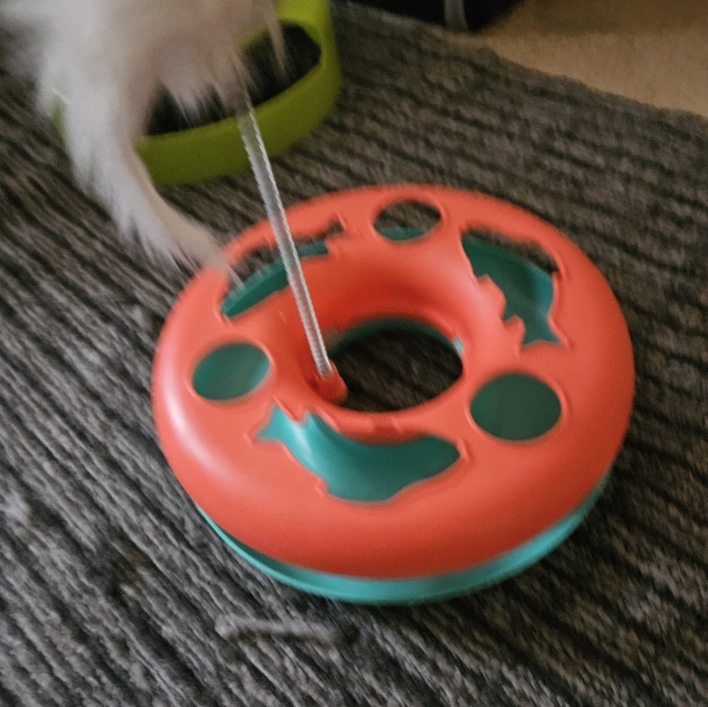Cat toys
